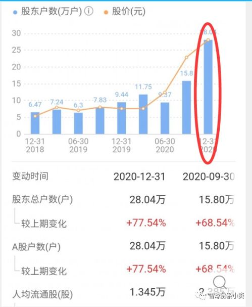 如何找一只股票的年报 如何找一只股票的年报
