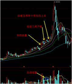 如何选择成长型股票 如何选择成长型股票