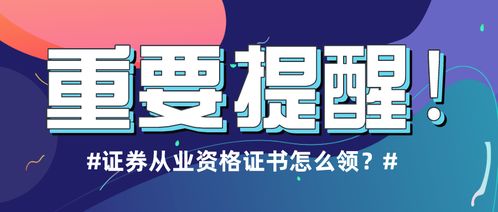 怎么才能进入证券公司