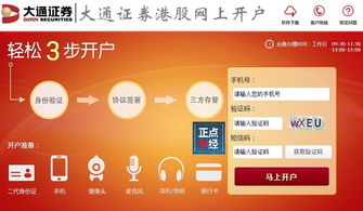 大通证券怎么买基金