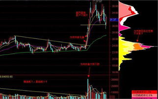 如何看懂股票中的盘面 如何看懂股票中的盘面