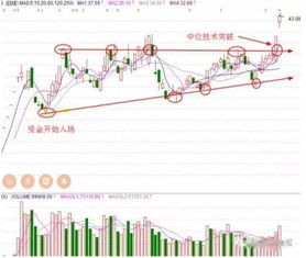 低价股票如何操作涨停 低价股票如何操作涨停