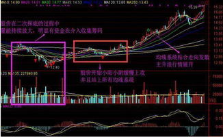 高手如何买入龙头股票