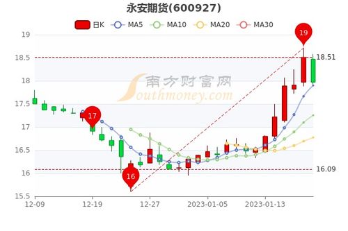 如何查询期货股票