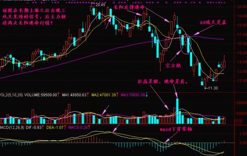 股票如何向上派发