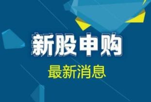 如何撤销股票申购 如何撤销股票申购