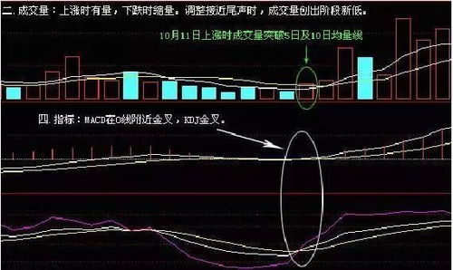如何选股好效率高的股票