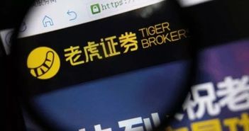 怎么注销老虎证券