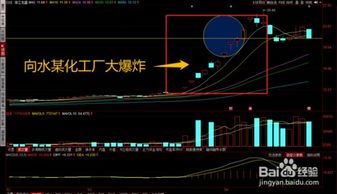 如何买涨停的股票