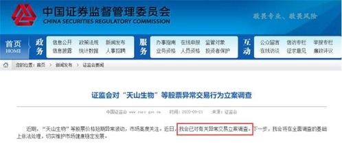 怎么查询证券过户