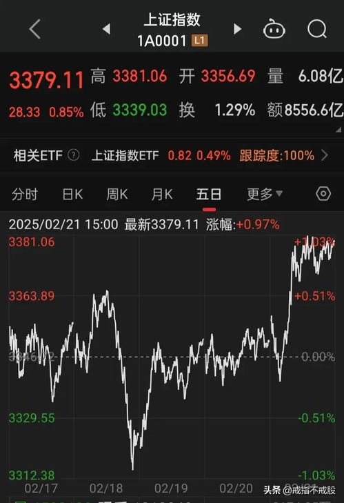 股票如何戒掉股市