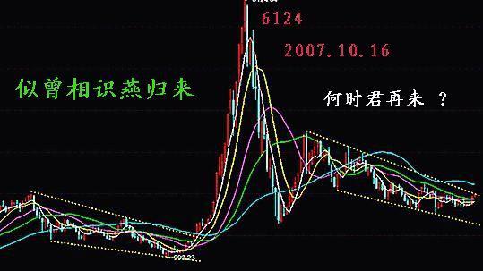如何鉴别股票的大小板