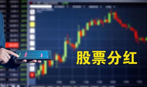 如何去看股票分红