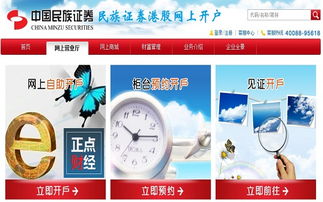 民族证券怎么查账户