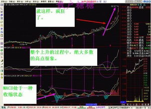 股票散户如何炒股票的