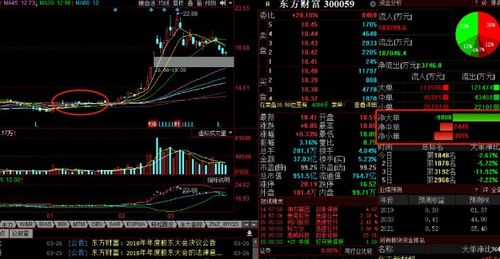 如何查看主力流入股票