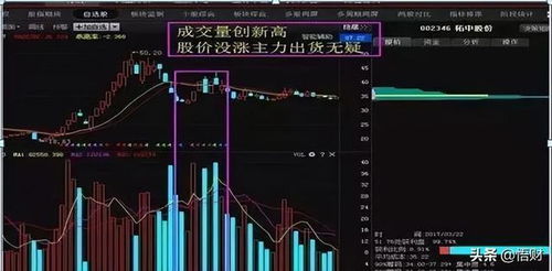 股票如何查看利润