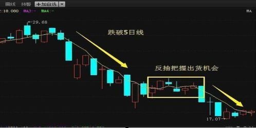 如何对付熊市散户买股票