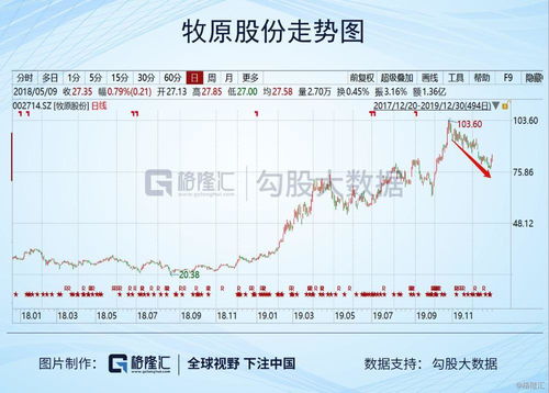 股票如何买猪肉的股票