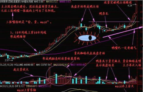 如何计算股票买入本金