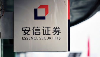 安信证券怎么玩