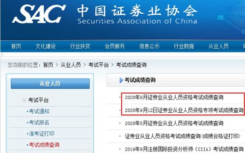 证券从业怎么查询