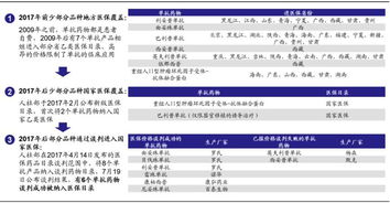 国海证券怎么网络投票