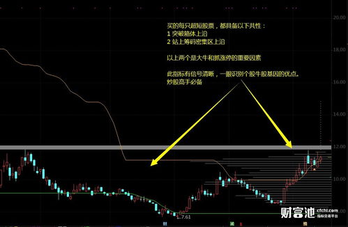 如何在股票里找某一机构 如何在股票里找某一机构