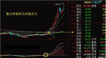 股票如何才能涨的更快些