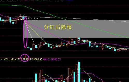 如何能拿到股票的分红啊