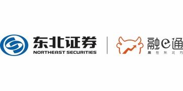 证券俩融怎么用