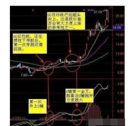 如何选股票最准的股票