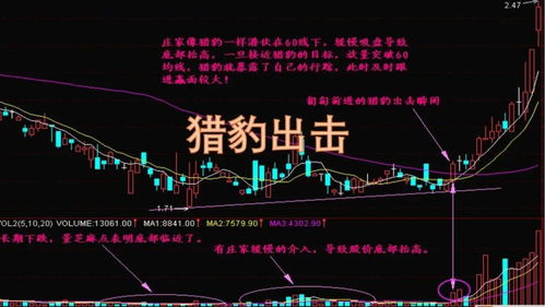 如何买下猎豹股票