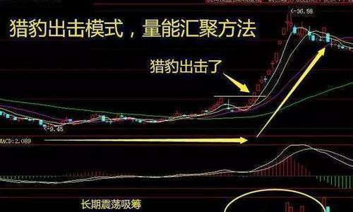 如何买下猎豹股票