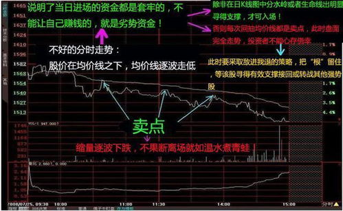 如何组织股票