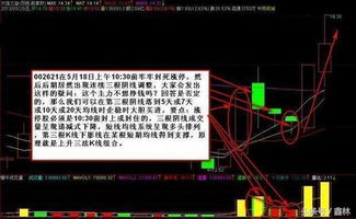 股票如何调整关注点