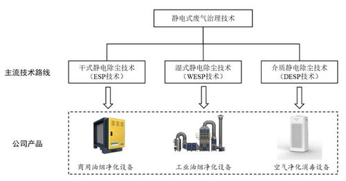 信达证券怎么不能申购