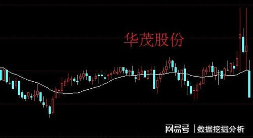 如何买企业股票