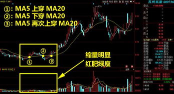 股票中如何确定基准点位