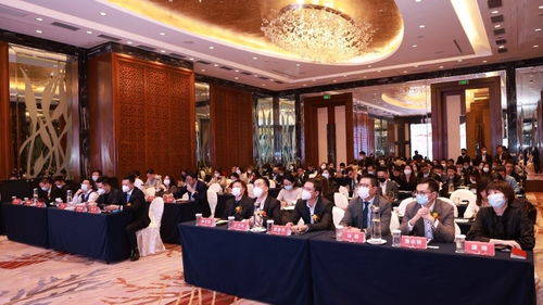 平安证券怎么开会 平安证券怎么开会