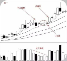股票如何自行买入