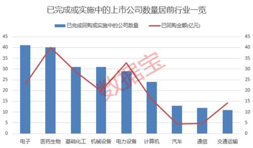 如何查回购股票 如何查回购股票