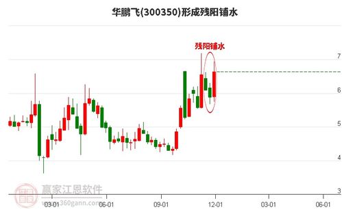 华鹏飞股票前景如何