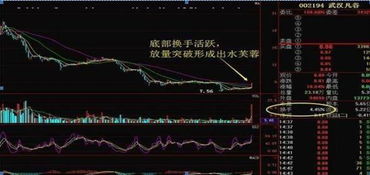 如何验证股票抗跌