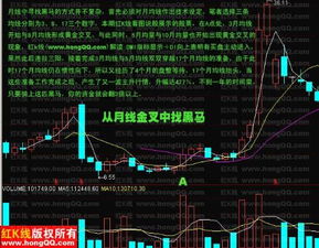 如何选股票方法