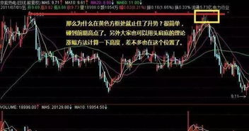 如何查找不认识的股票