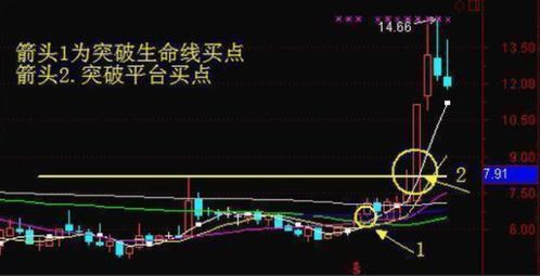 如何看一只股票的周线图