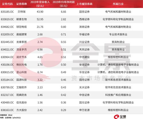 炒股如何看股票中签率
