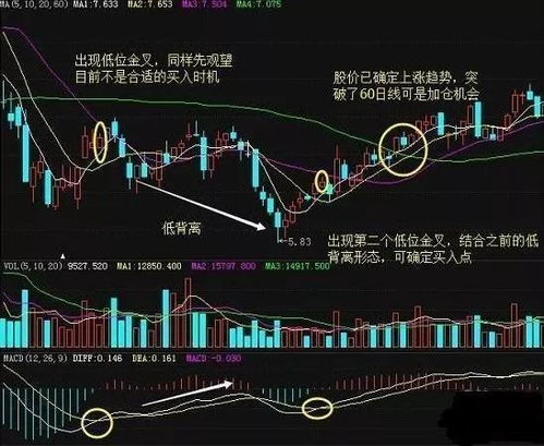如何查看单个股票的涨速