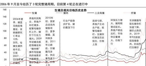如何分析猪肉股票